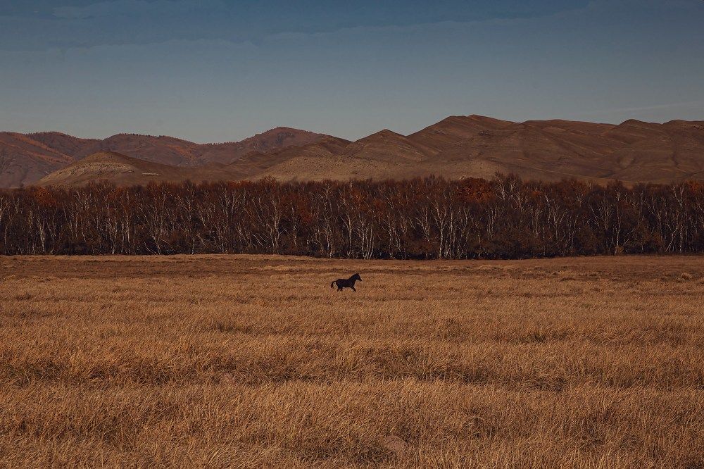 Photograph by Оксана