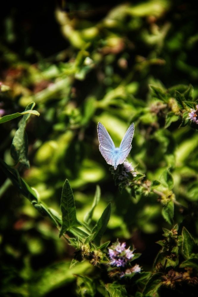 Photograph by Олеся