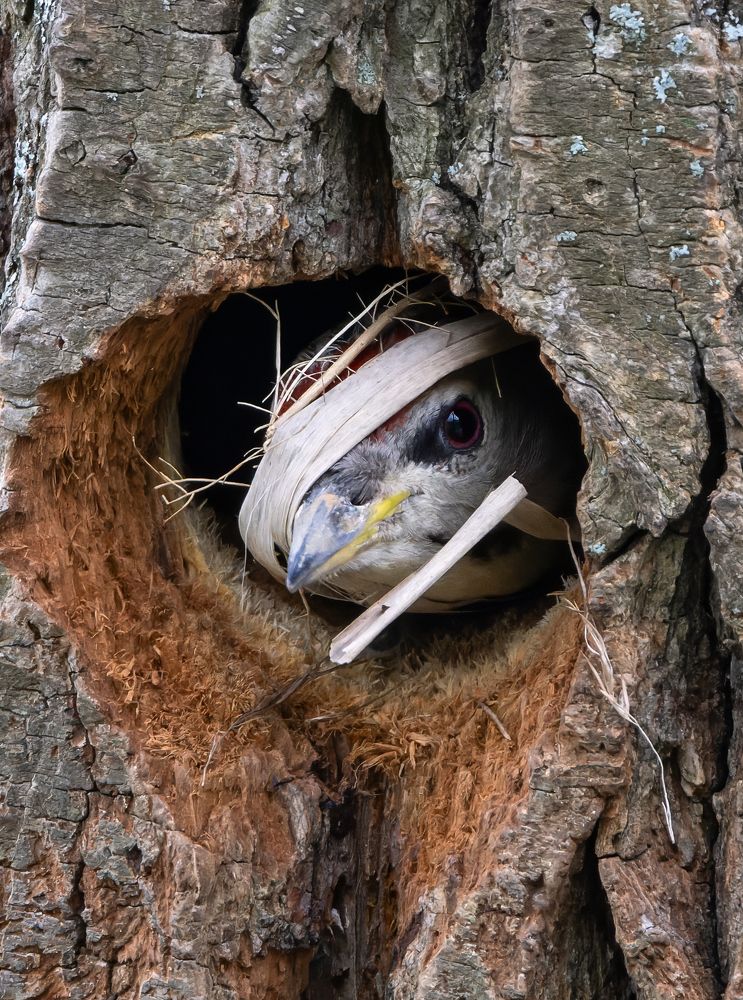 Фотография автора Александр Шипиленко