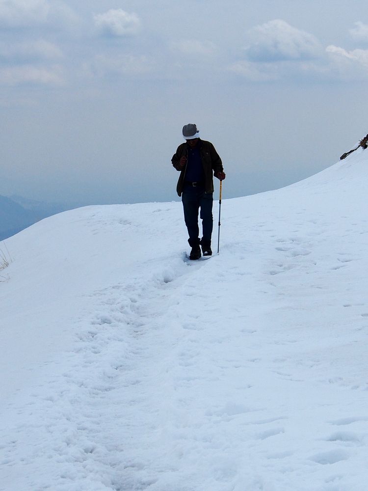 Photograph by Abdolreza Aleagha