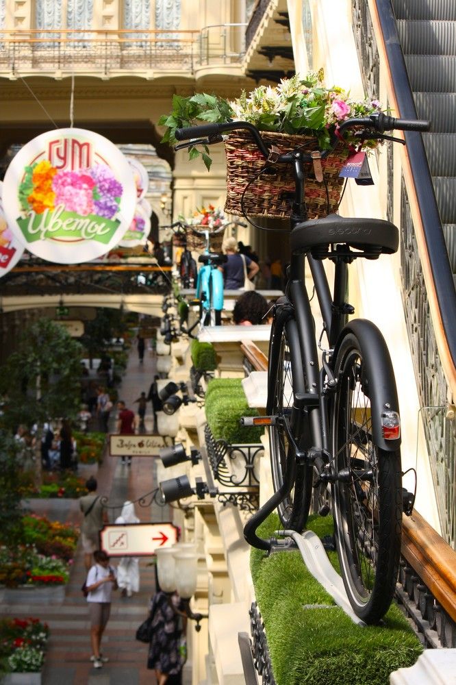 Photograph by Михаил Некрасов