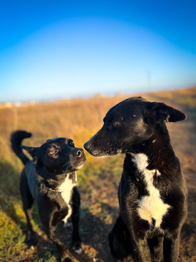 Фотография автора Мария