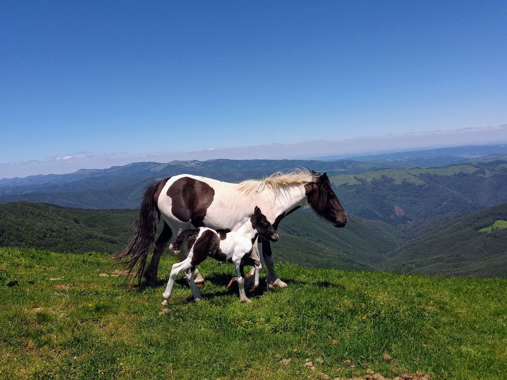 Фотография автора Liliya Slavcheva