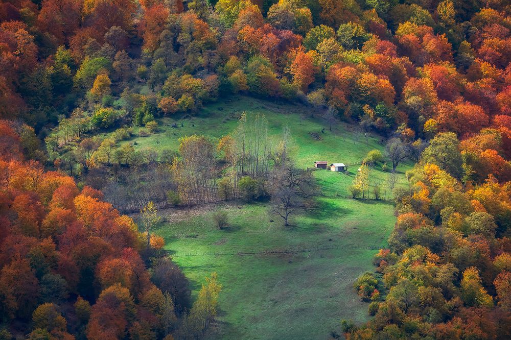 Photograph by sajjad saadat