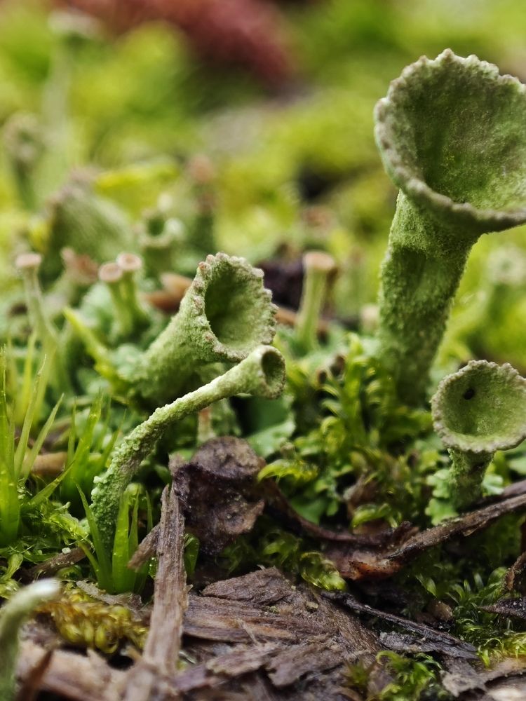 Photograph by Надежда Кангина