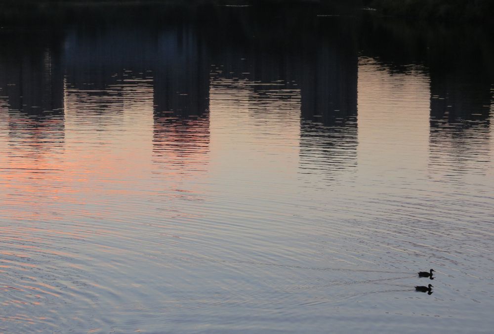 Photograph by Андрей Осмоловский