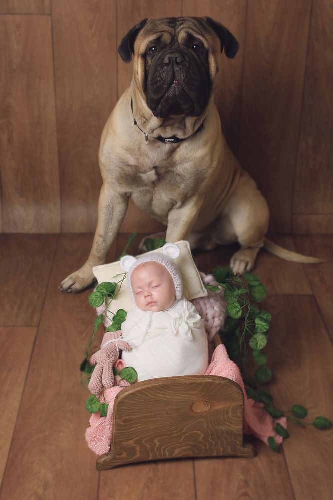 Photograph by LIAT GENDLER