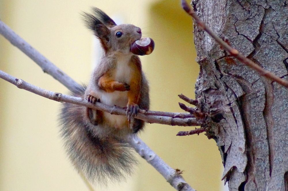 Фотография автора Jevgeni Filimonov