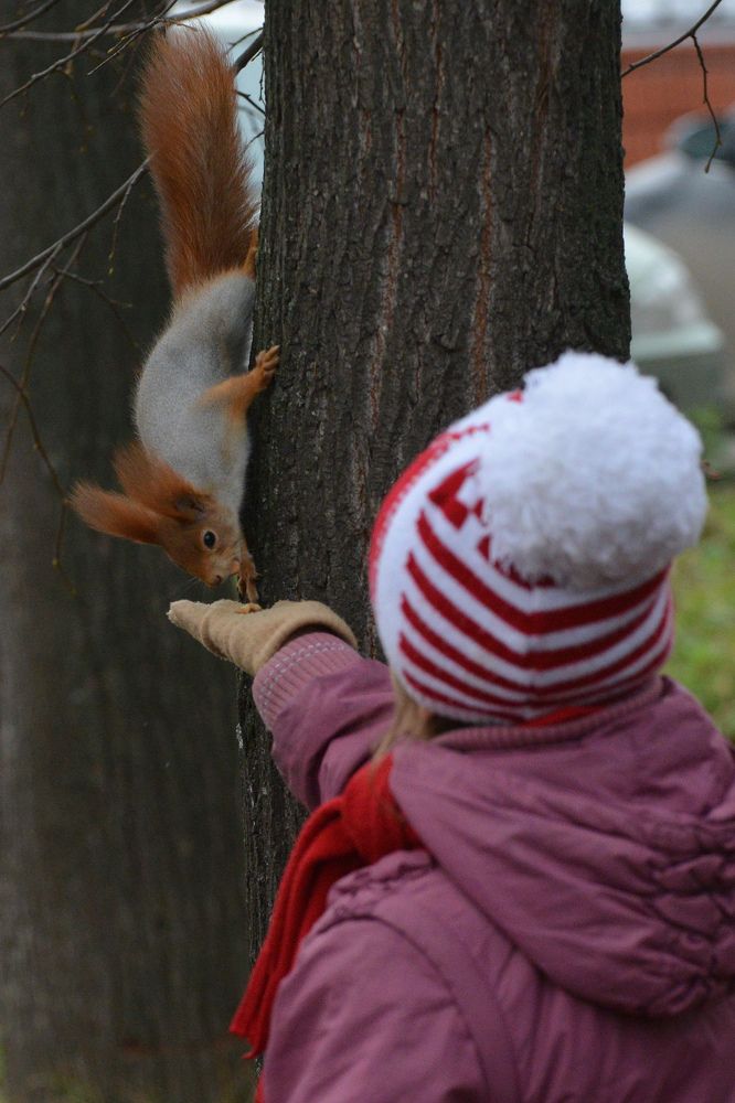 Photograph by Фарит Зиатдинов