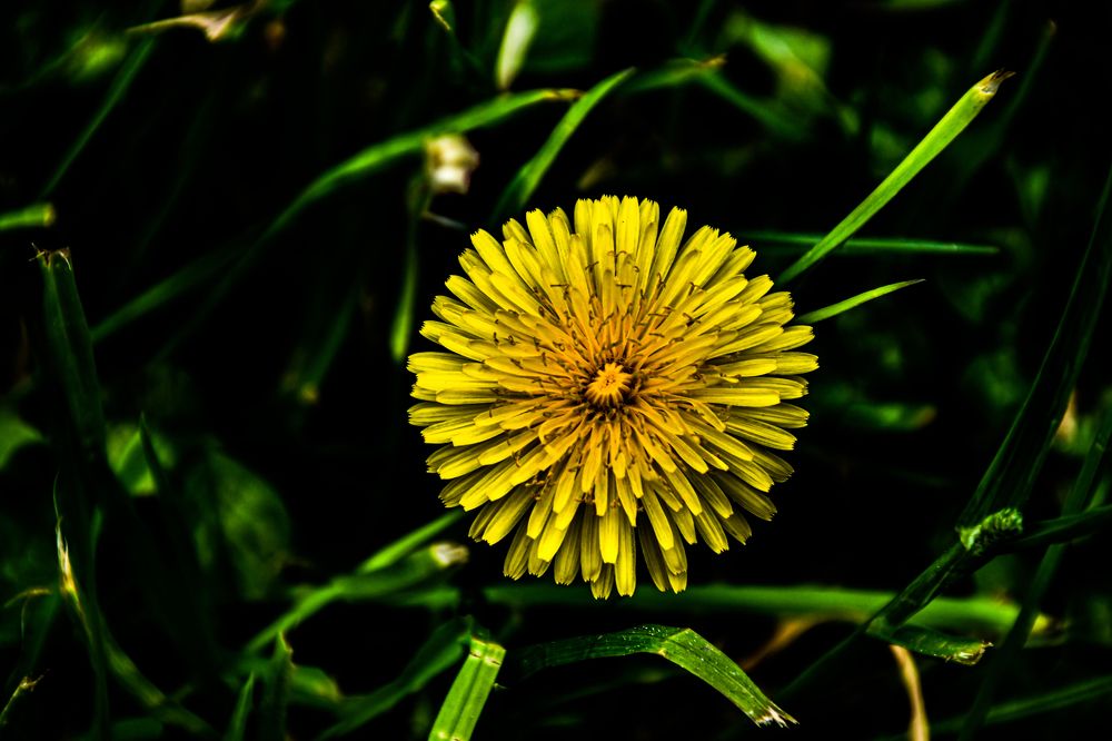 Photograph by Павел