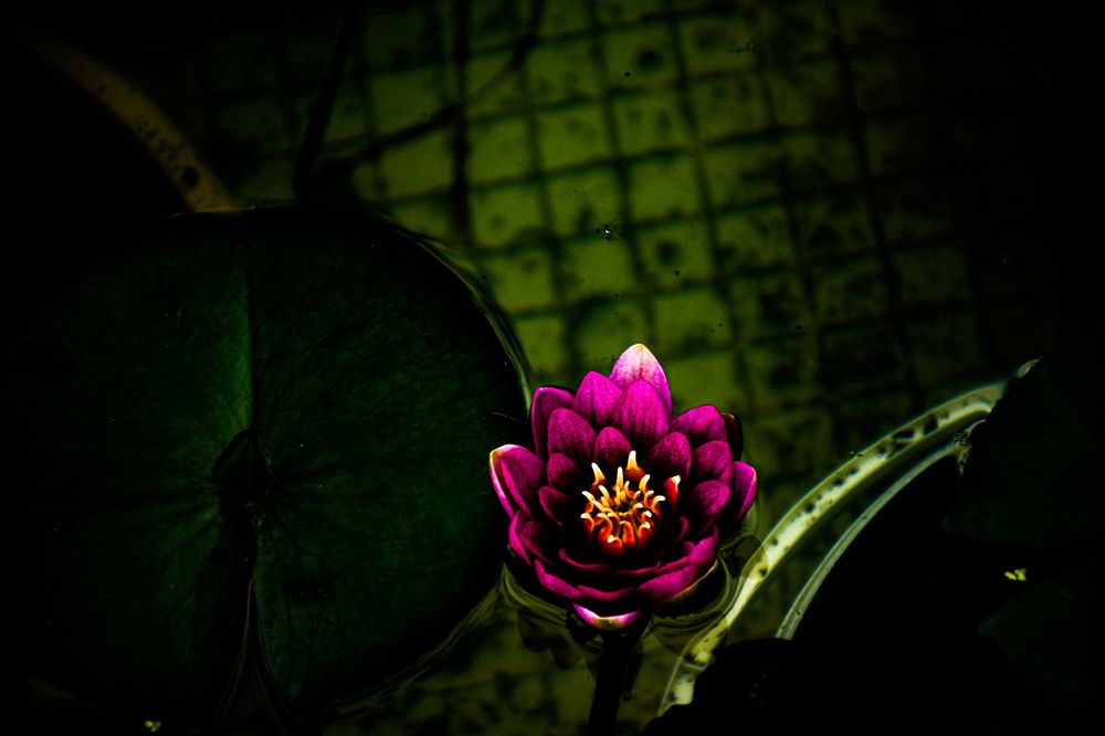 Photograph by Павел