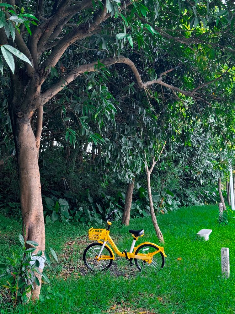 Photograph by Maxim Voronov