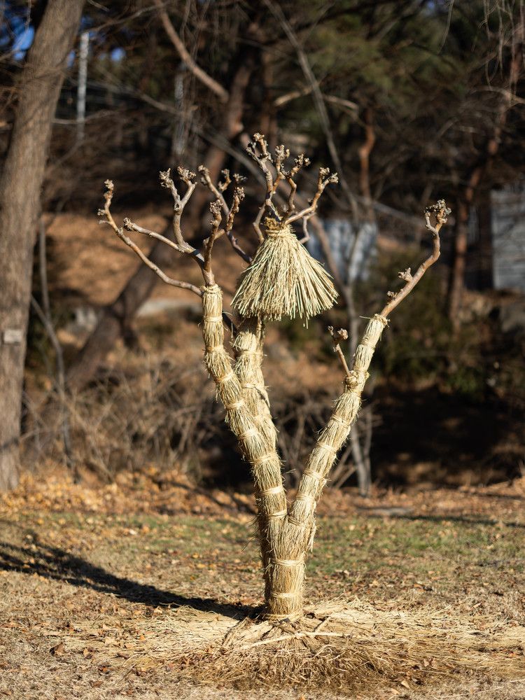 Photograph by Maxim Voronov