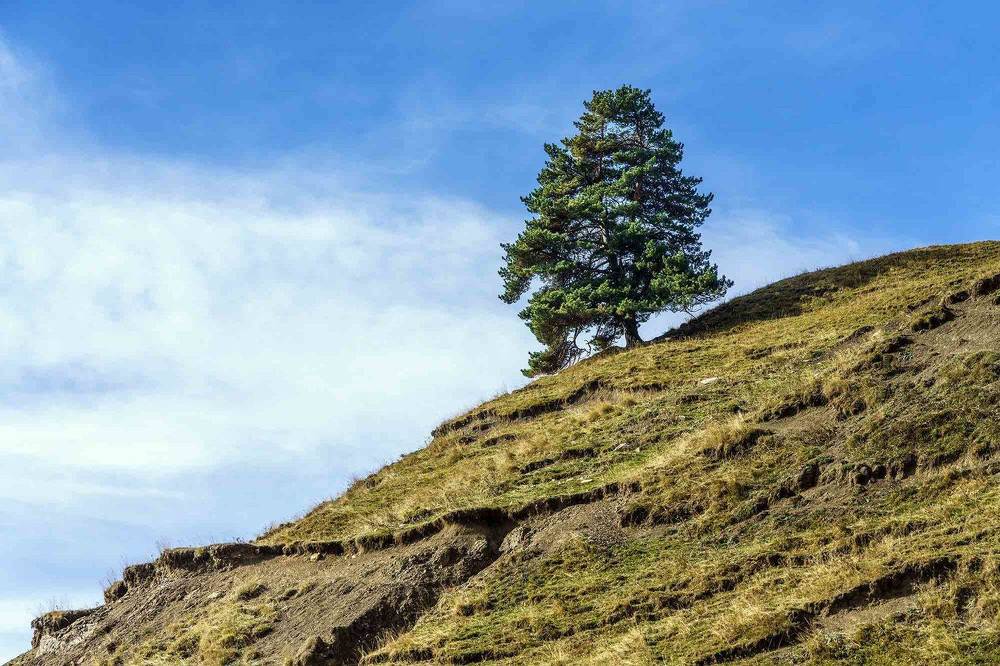 Photograph by Евгений Киселев