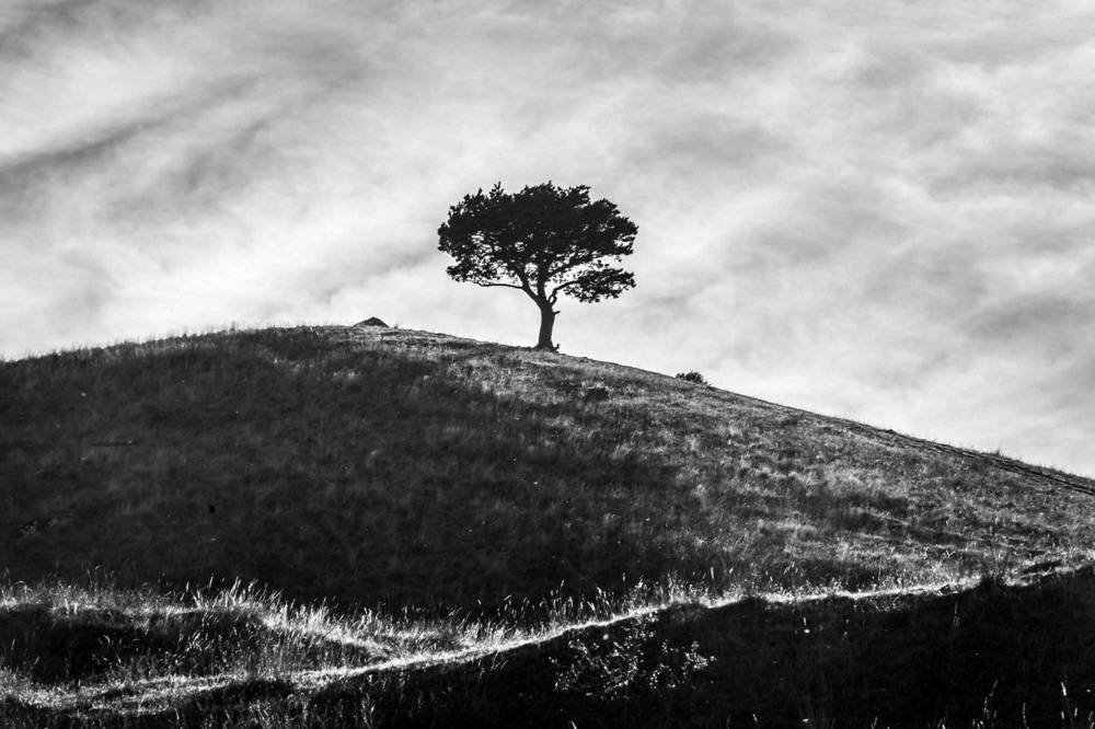 Photograph by Евгений Киселев