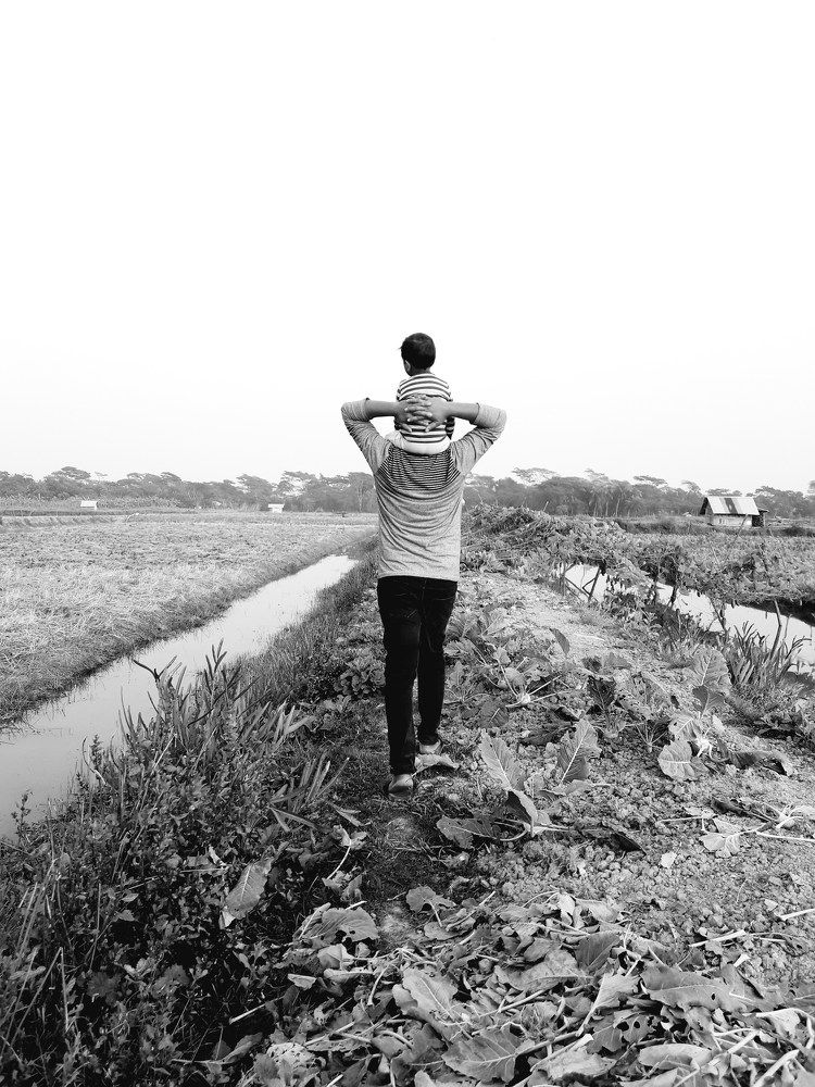 Photo #11361411