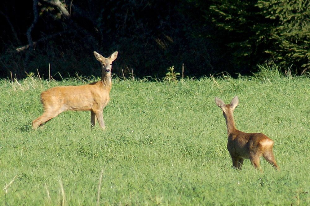 Фотография автора Jevgeni Filimonov