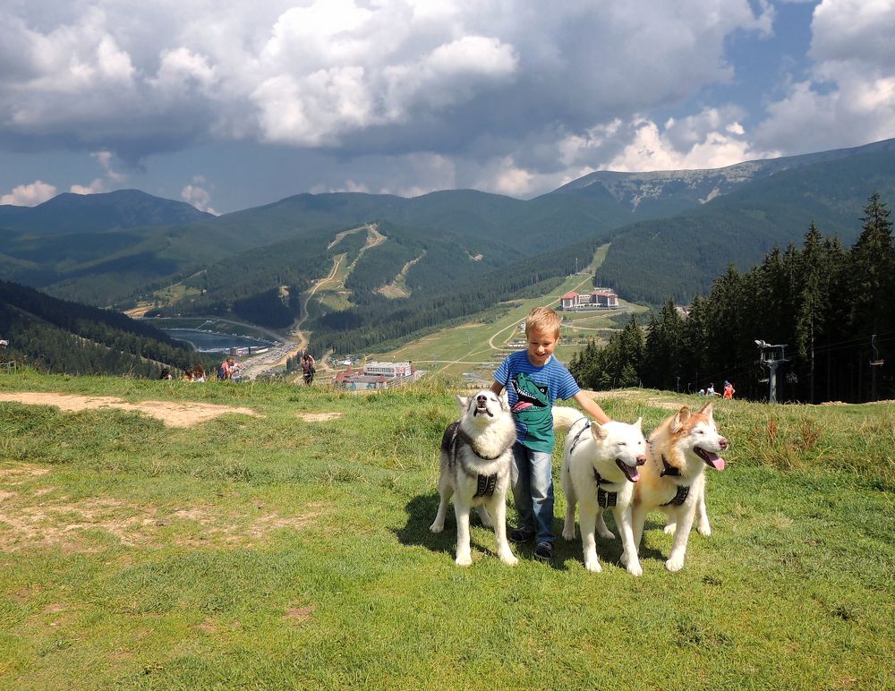 Фотография автора Роман Савоцкий
