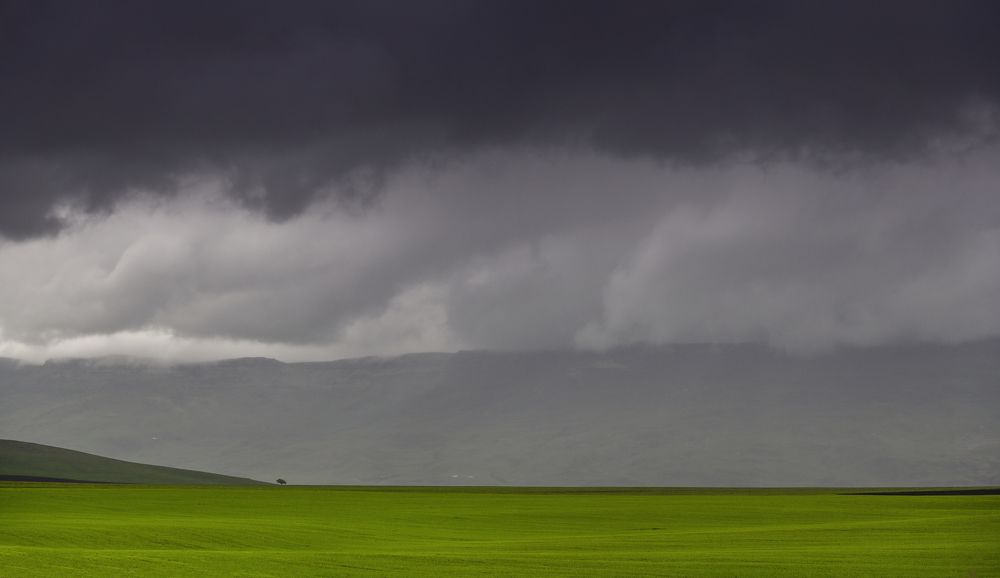 Photograph by Пирог Борис