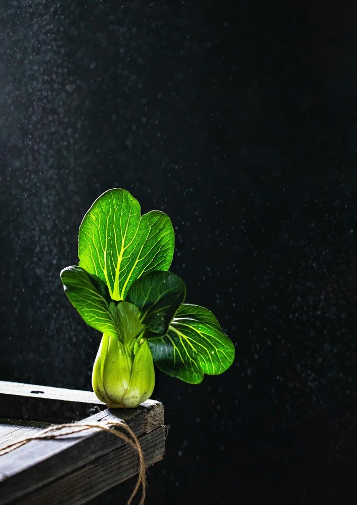 Photograph by Roena Ahmed