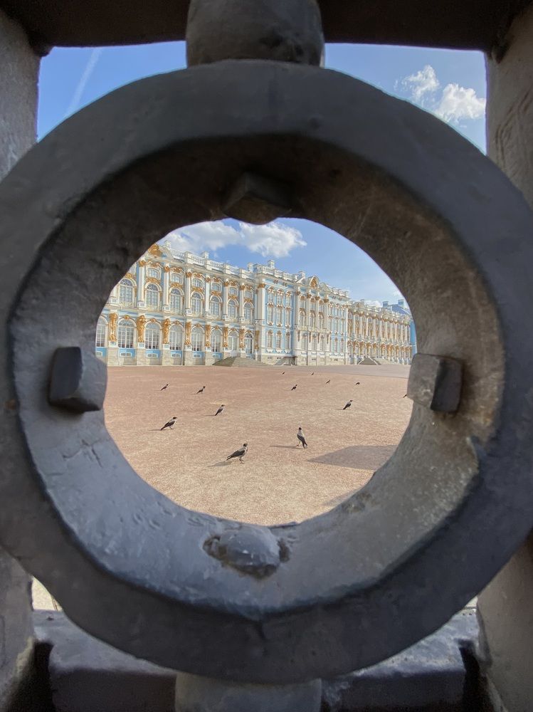 Photograph by Алиса Лукина