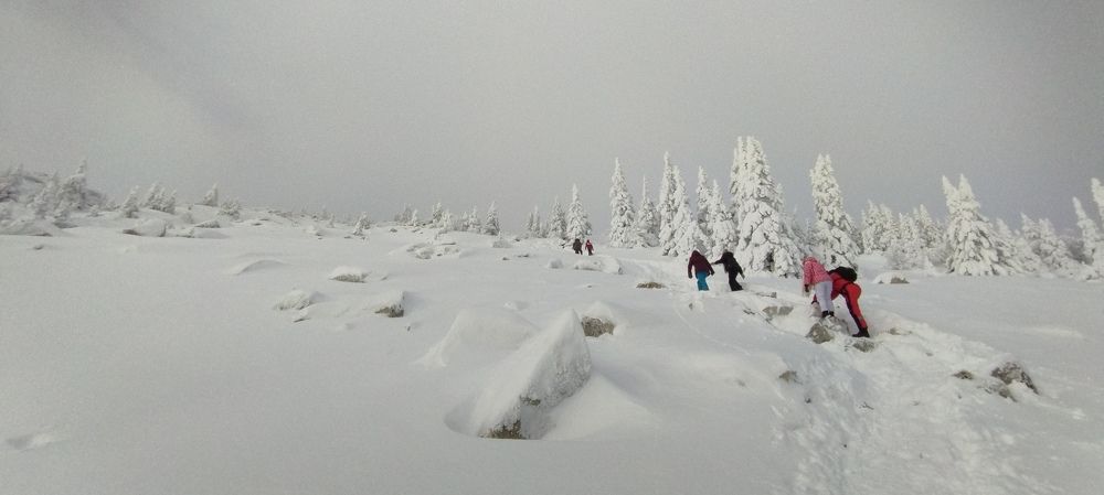 Photograph by Сергей Хранитель