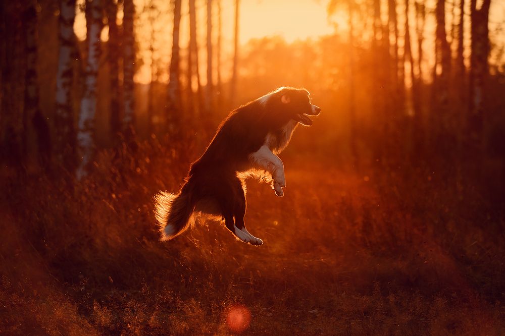 Я свободен!