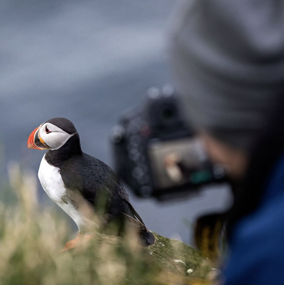 Photograph by Владимир Остапенко
