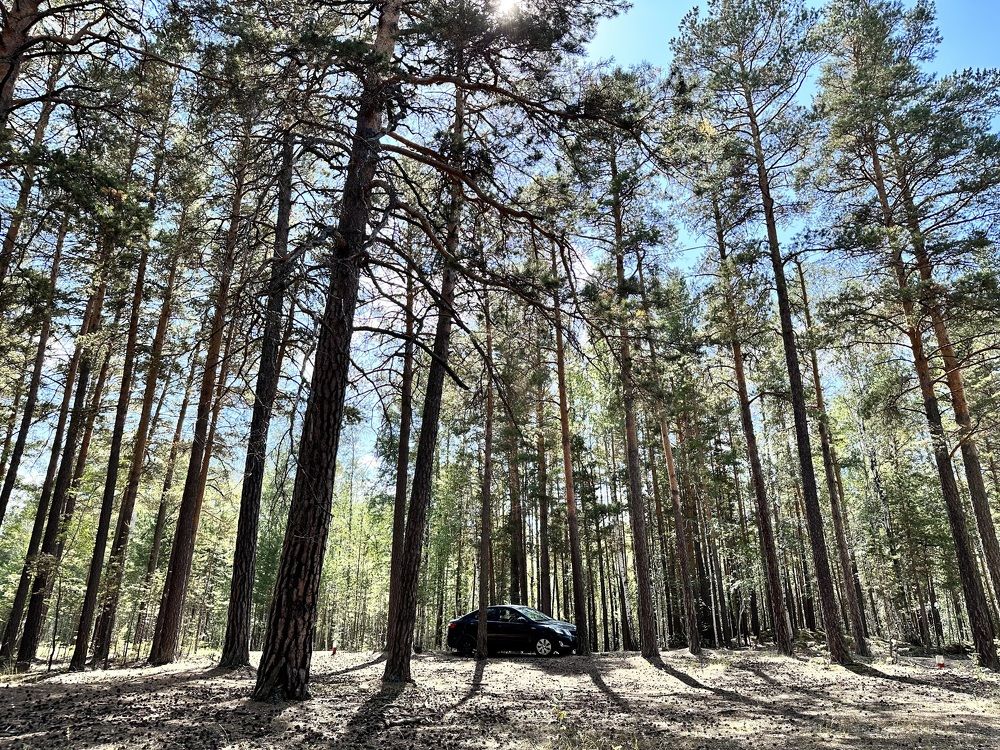 Photograph by Меруерт