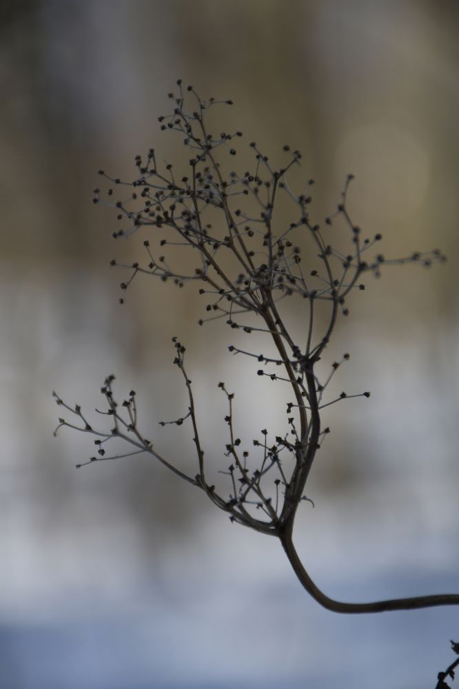 Photograph by Алексей Поликарпов