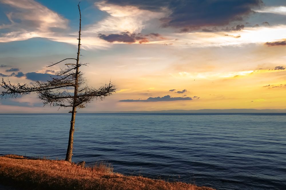 Photograph by Алексей Мякота