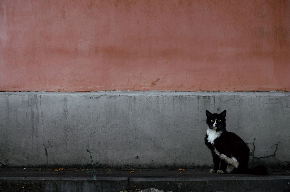 Photograph by Андрей Шелуков