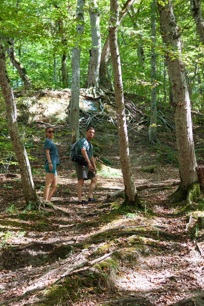 Photograph by Елена Казаренко