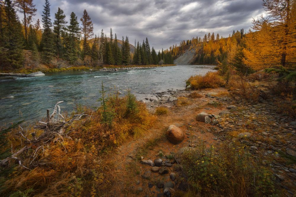 Photograph by Шевченко Николай