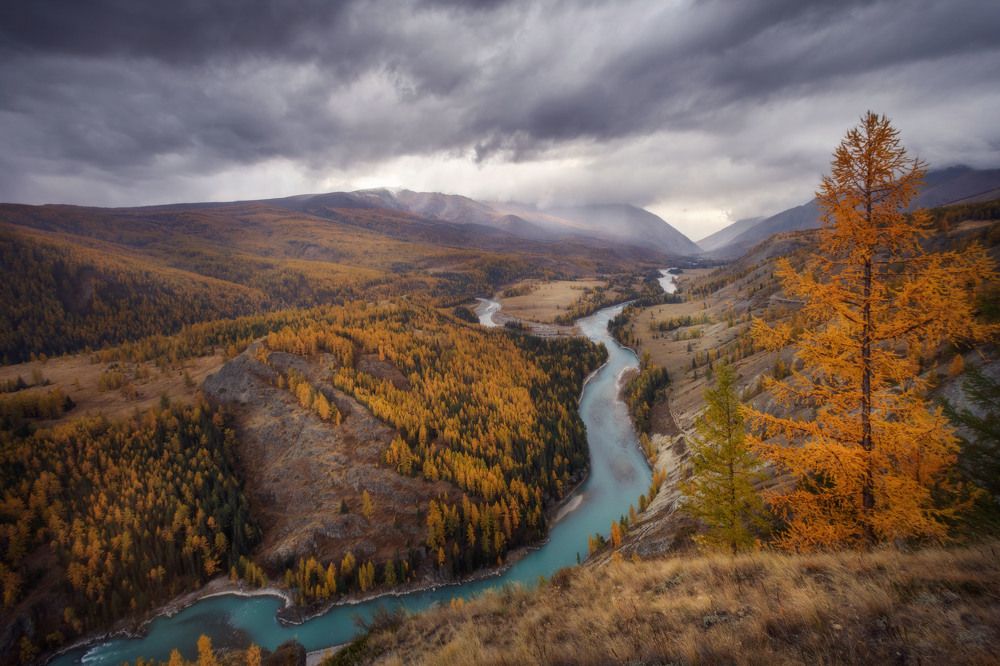 Photograph by Шевченко Николай