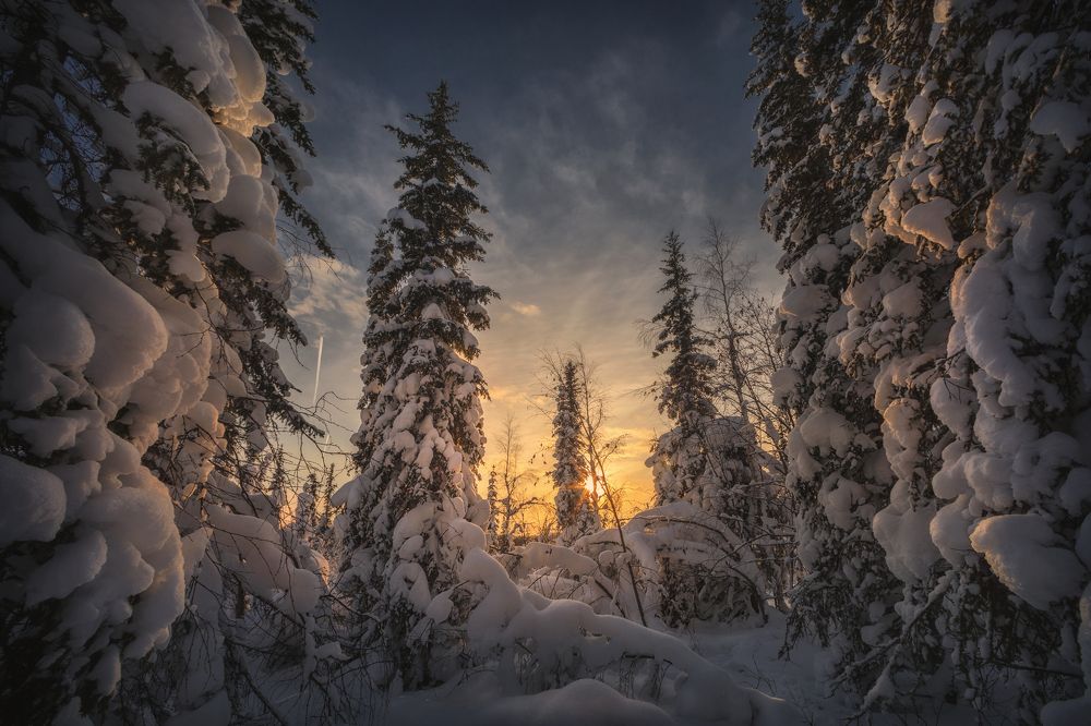 Photograph by Шевченко Николай