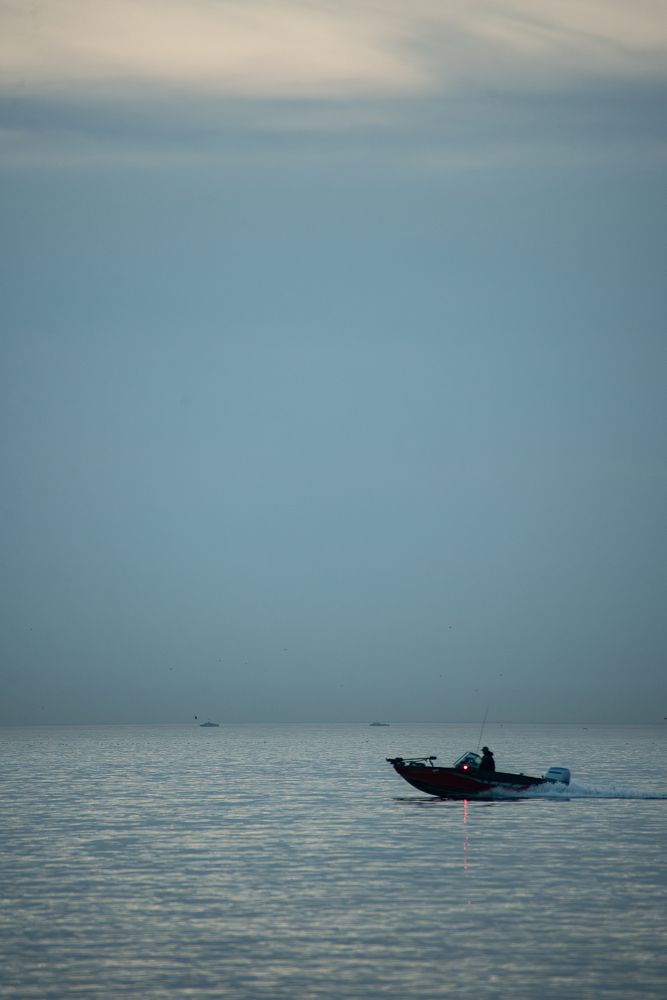 Photograph by Дмитрий Хорошилов