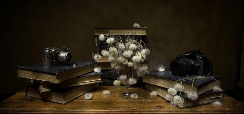 Photograph by Татьяна Феденкова