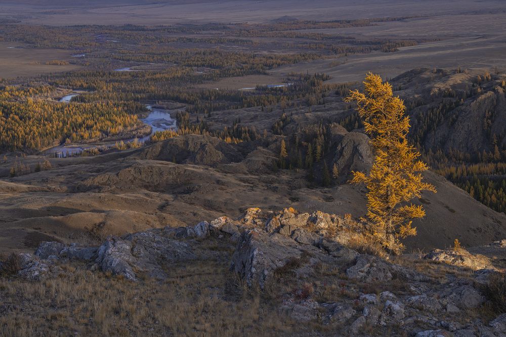 Фотография автора Галина