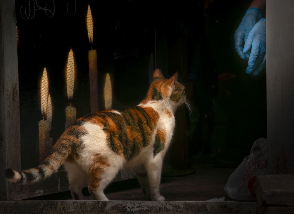 Photograph by Sergej