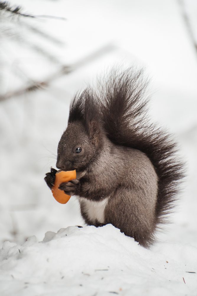 Photograph by Людмила Москвичёва