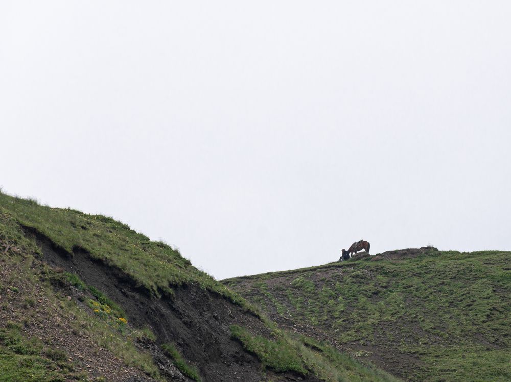 Photograph by Наталья Кокорина