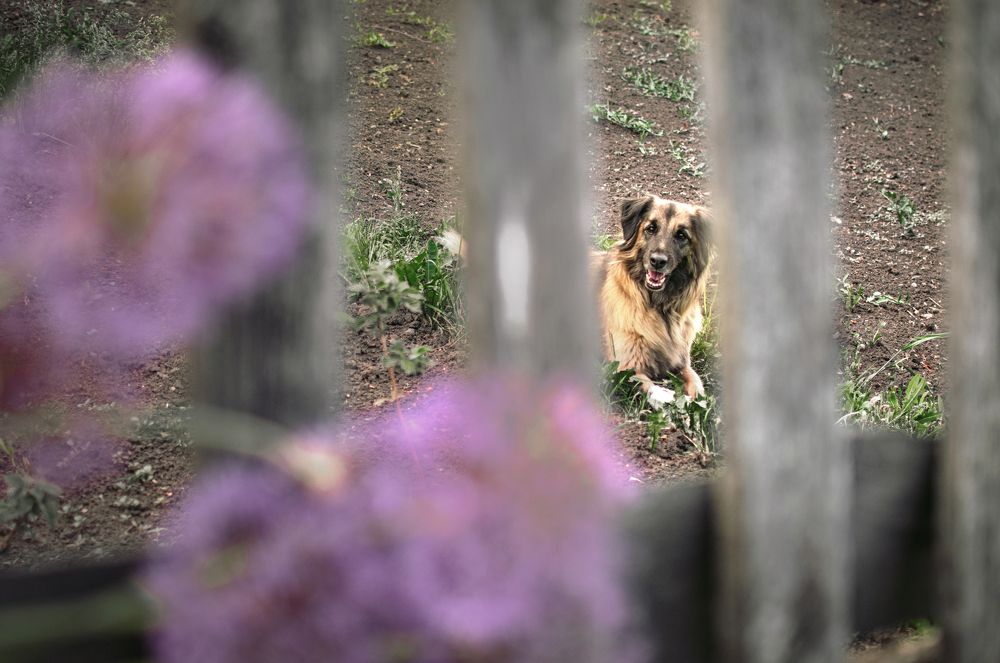 Photograph by Альфия Агзами