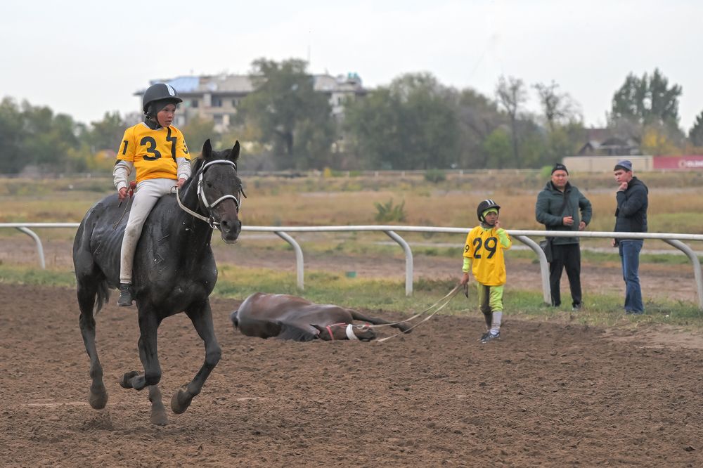 Фотография автора Владимир Пронин