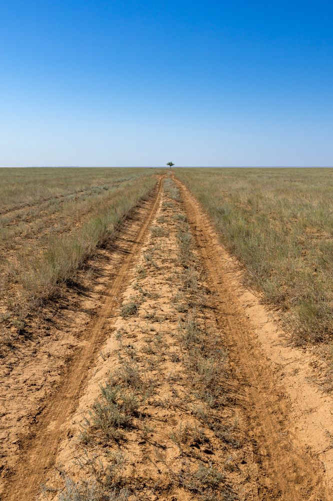 Photograph by Подосинников Максим