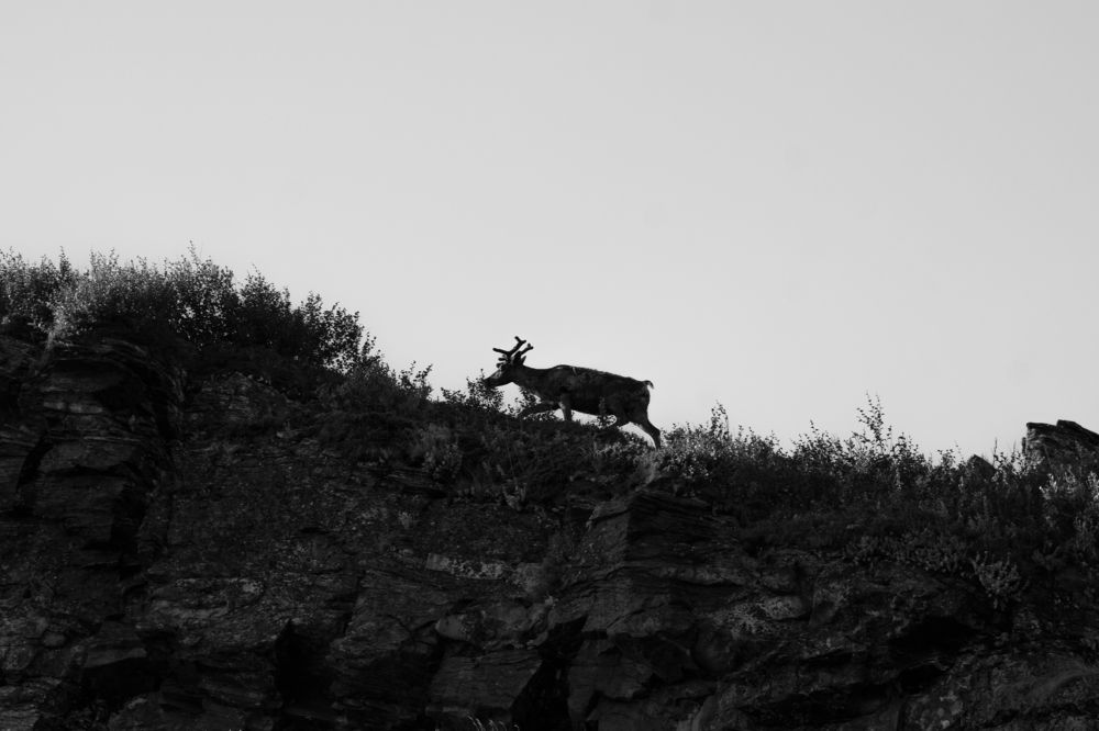 Photograph by Svetlana