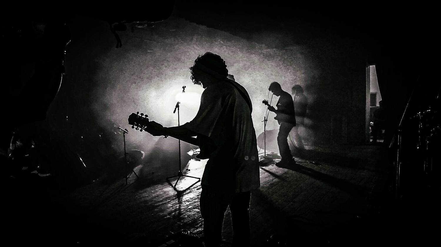 Photo #11362021