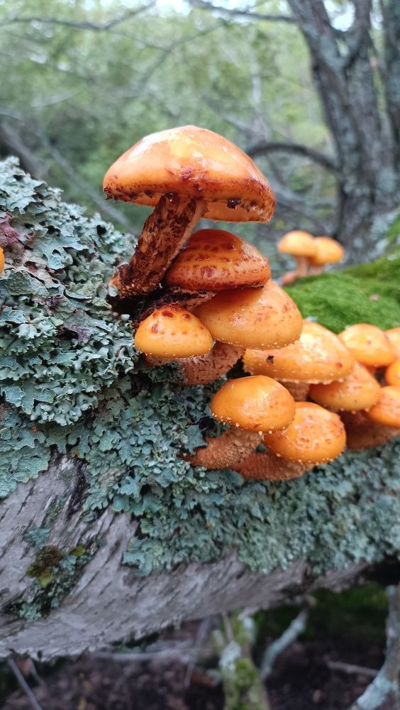 Photo #11362047