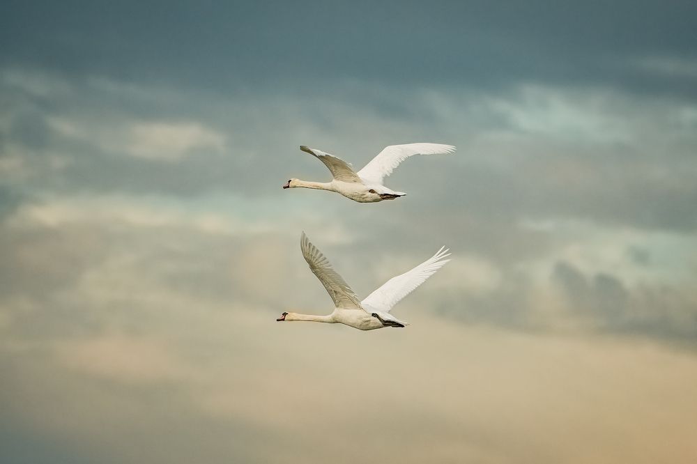 Photograph by Andrea Barlotti