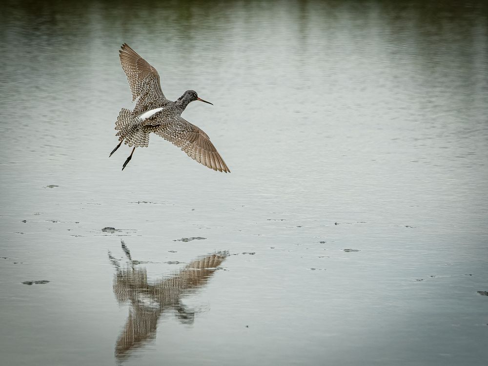 Photograph by Andrea Barlotti